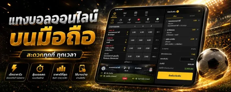 แทงบอลออนไลน์